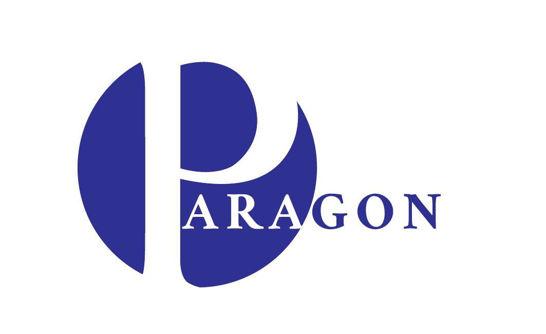 PARAGON SECURITY SERVICES LLC