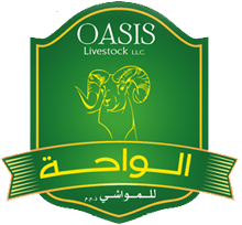 Oasis Livestock Company L L C
