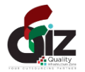 QIZ Services